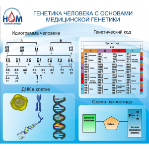 Генетика человека с основами медицинской генетики